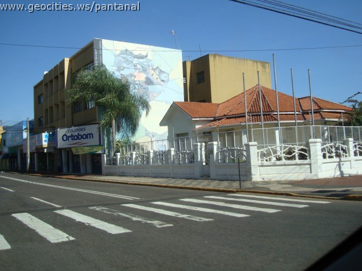 2583_geocities_ws_pantanal.jpg
