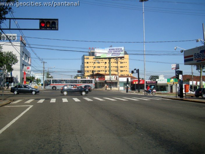2586_geocities_ws_pantanal.jpg