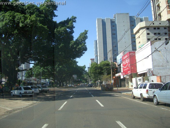 2588_geocities_ws_pantanal.jpg