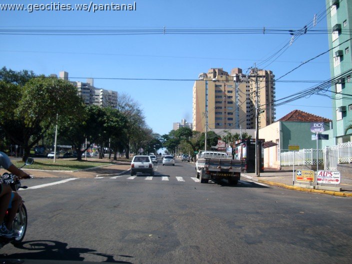 2598_geocities_ws_pantanal.jpg