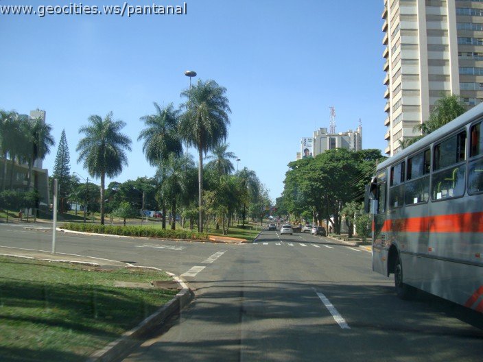 2602_geocities_ws_pantanal.jpg