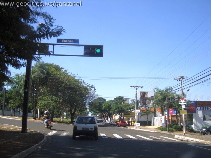 2606_geocities_ws_pantanal.jpg