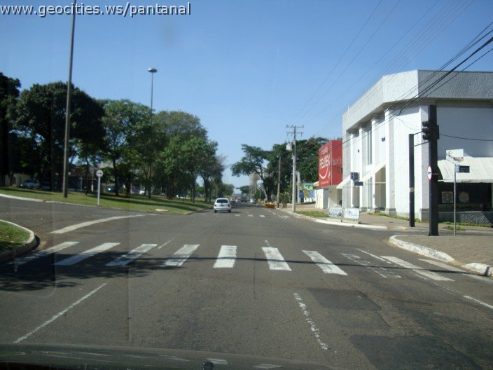 2607_geocities_ws_pantanal.jpg