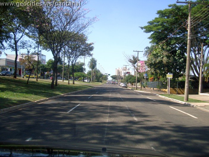2608_geocities_ws_pantanal.jpg
