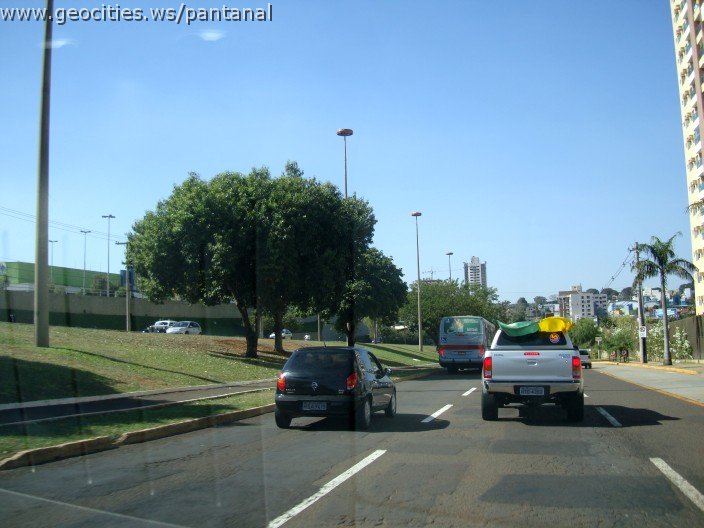 2616_geocities_ws_pantanal.jpg