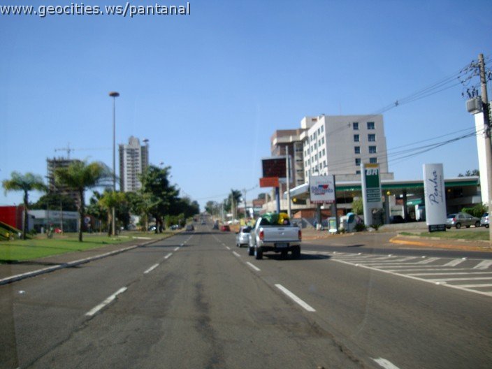 2619_geocities_ws_pantanal.jpg