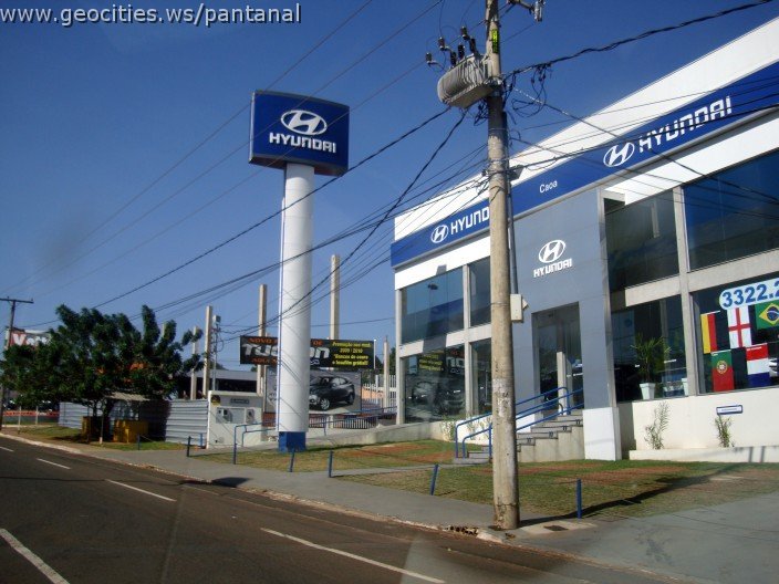2624_geocities_ws_pantanal.jpg