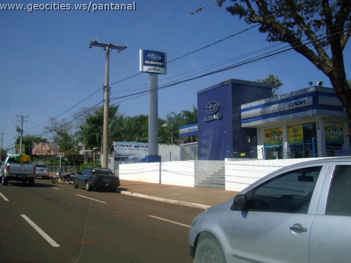 2625_geocities_ws_pantanal.jpg