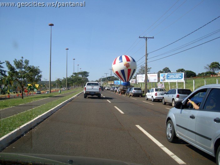 2631_geocities_ws_pantanal.jpg