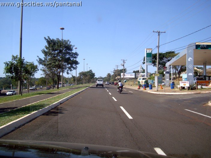 2633_geocities_ws_pantanal.jpg