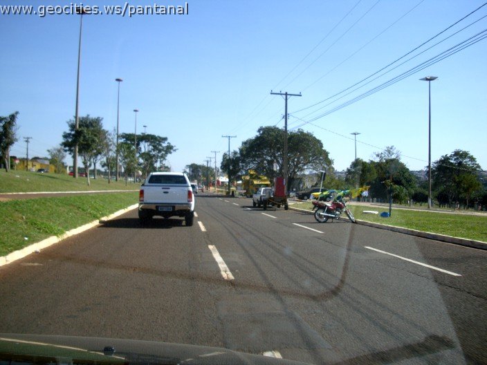 2634_geocities_ws_pantanal.jpg