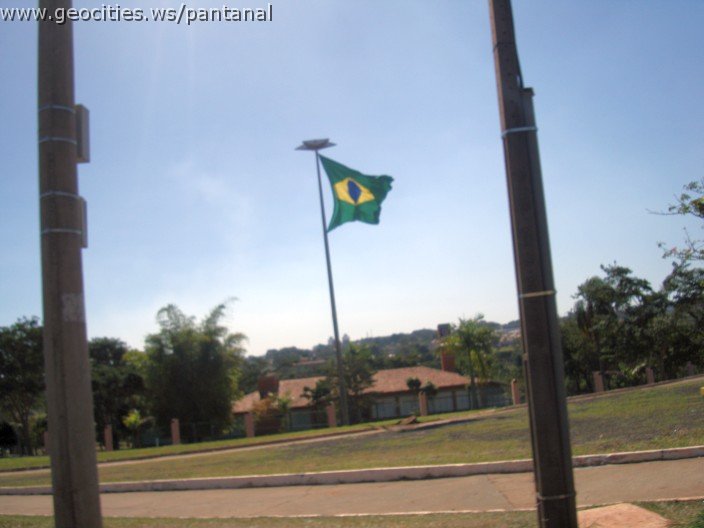 2650_geocities_ws_pantanal.jpg