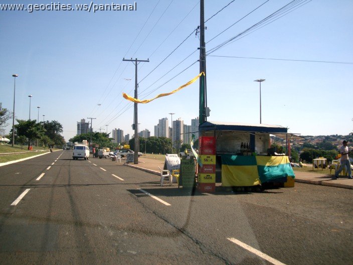 2653_geocities_ws_pantanal.jpg