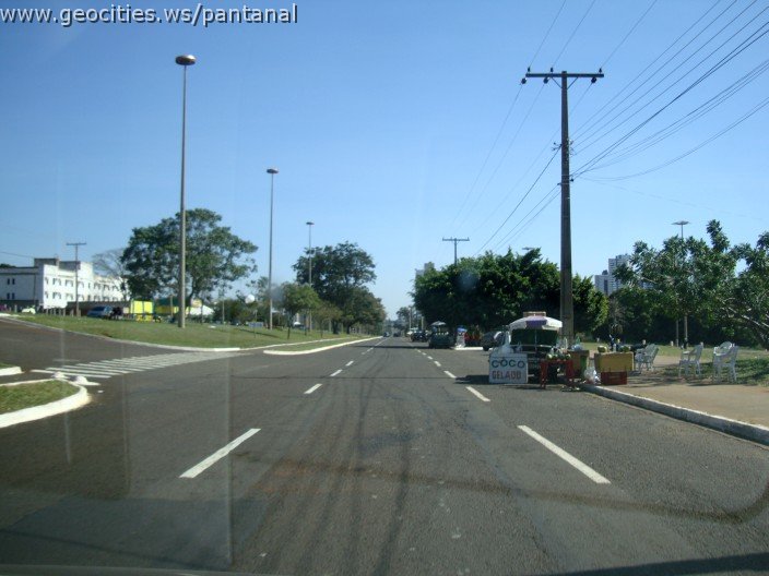 2654_geocities_ws_pantanal.jpg