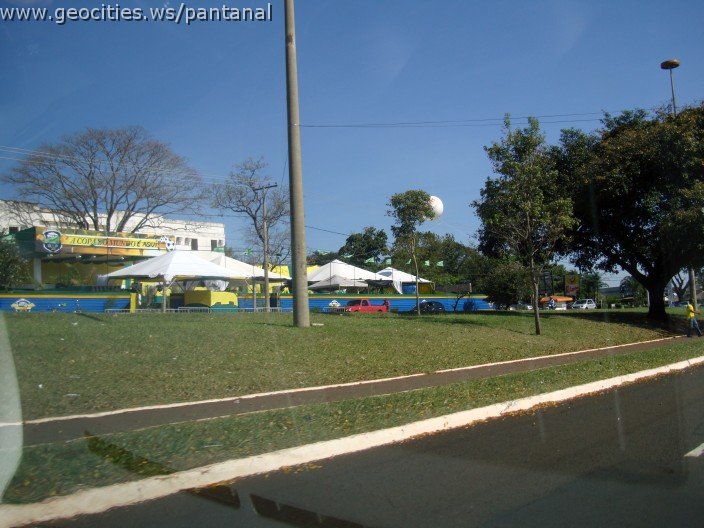 2655_geocities_ws_pantanal.jpg