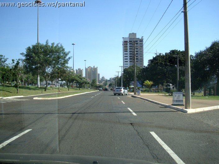2657_geocities_ws_pantanal.jpg