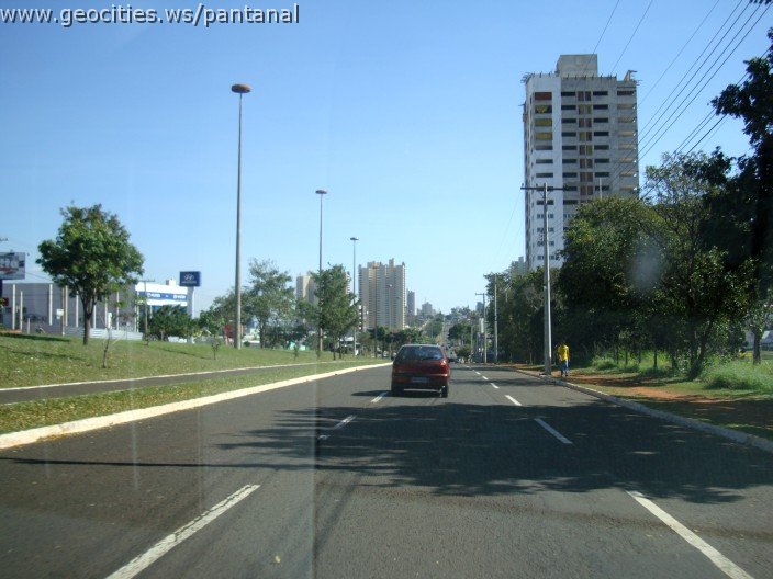 2658_geocities_ws_pantanal.jpg