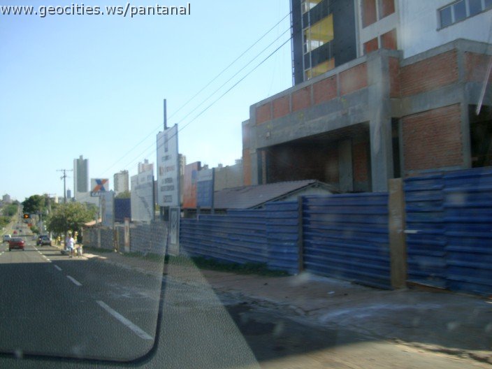 2659_geocities_ws_pantanal.jpg