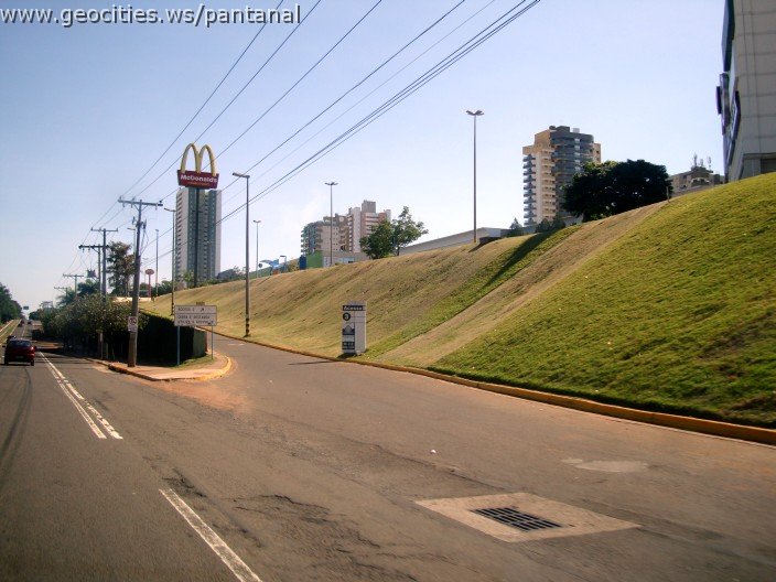 2664_geocities_ws_pantanal.jpg