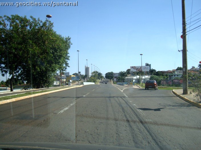 2668_geocities_ws_pantanal.jpg