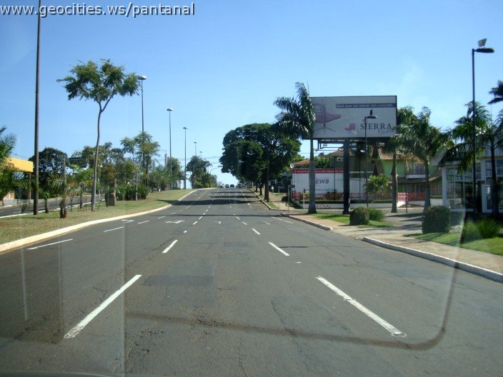 2670_geocities_ws_pantanal.jpg