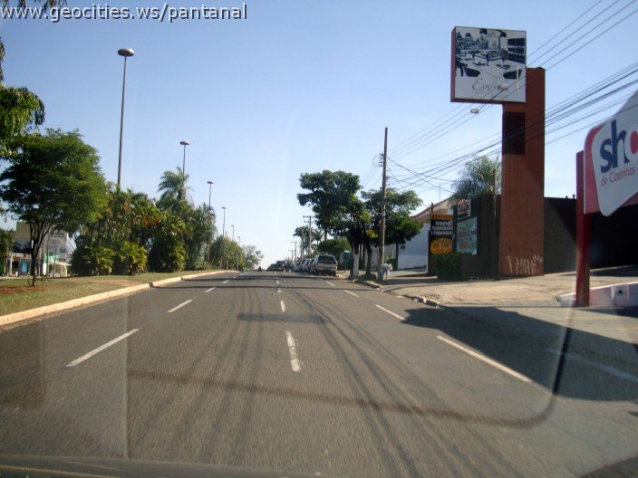 2671_geocities_ws_pantanal.jpg