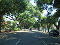 2524_geocities_ws_pantanal