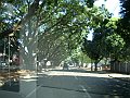 2525_geocities_ws_pantanal