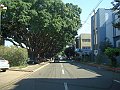 2527_geocities_ws_pantanal
