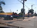 2533_geocities_ws_pantanal