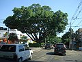 2543_geocities_ws_pantanal