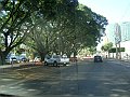 2596_geocities_ws_pantanal