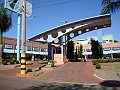 2621_geocities_ws_pantanal