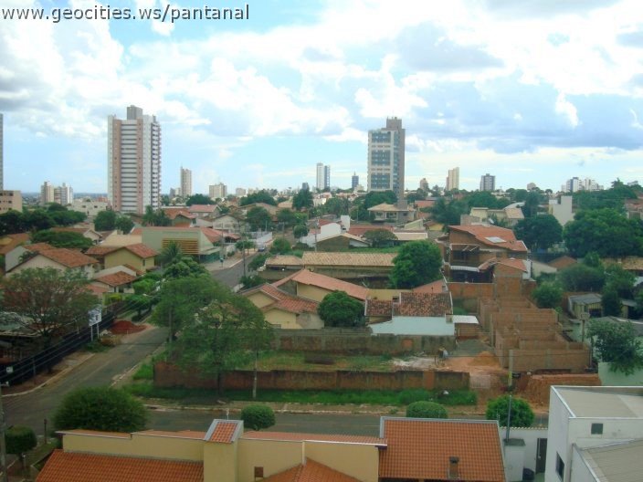 2677_geocities_ws_pantanal.jpg