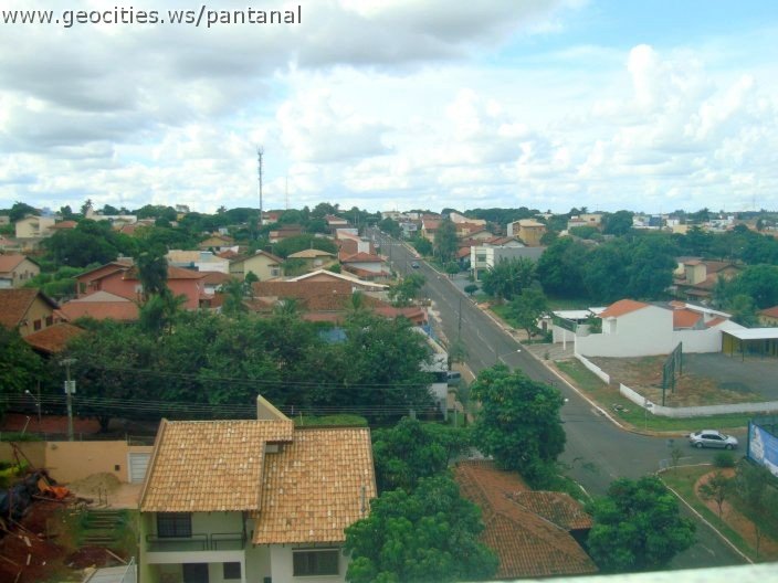 2678_geocities_ws_pantanal.jpg