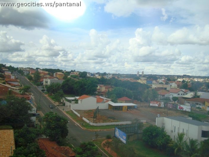 2679_geocities_ws_pantanal.jpg