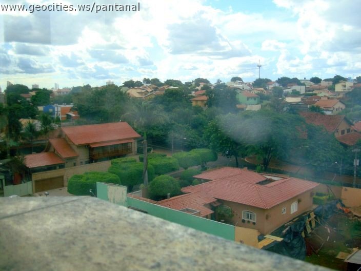 2680_geocities_ws_pantanal.jpg