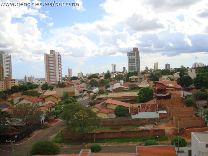 2681_geocities_ws_pantanal.jpg