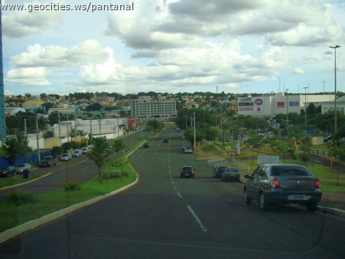 2684_geocities_ws_pantanal.jpg