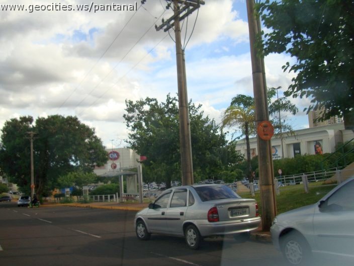 2685_geocities_ws_pantanal.jpg