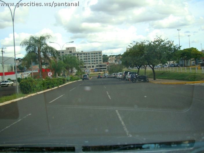 2686_geocities_ws_pantanal.jpg