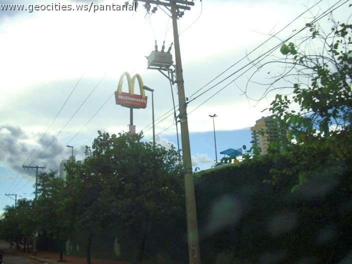 2690_geocities_ws_pantanal.jpg