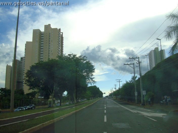2691_geocities_ws_pantanal.jpg