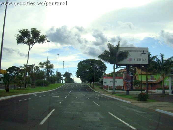 2694_geocities_ws_pantanal.jpg