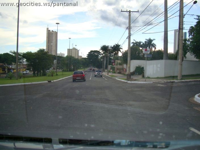 2695_geocities_ws_pantanal.jpg