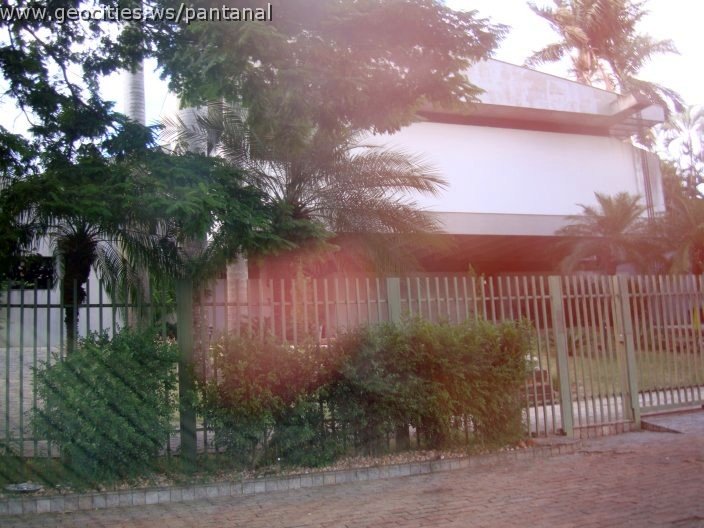2696_geocities_ws_pantanal.jpg