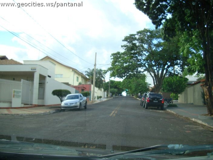 2698_geocities_ws_pantanal.jpg