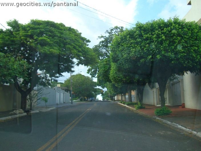 2699_geocities_ws_pantanal.jpg