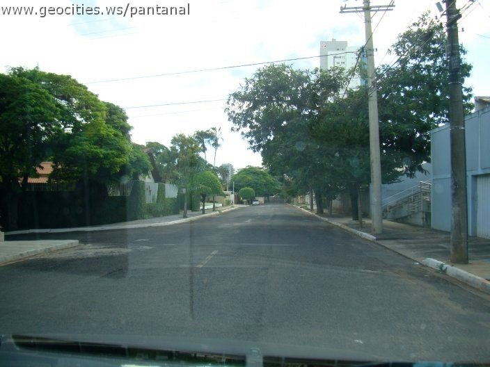 2701_geocities_ws_pantanal.jpg