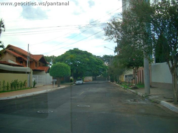 2702_geocities_ws_pantanal.jpg